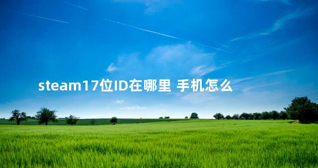 steam17位ID在哪里 手机怎么看steam17位